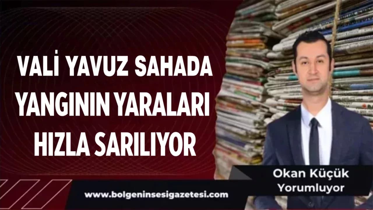 Vali Yavuz Sahada Yangının Yaraları Hızla Sarılıyor