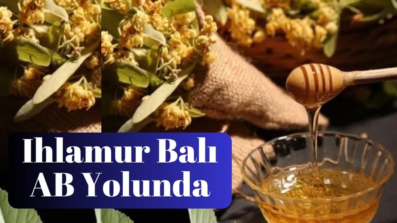 Yenice Ihlamur Balı AB Yolunda