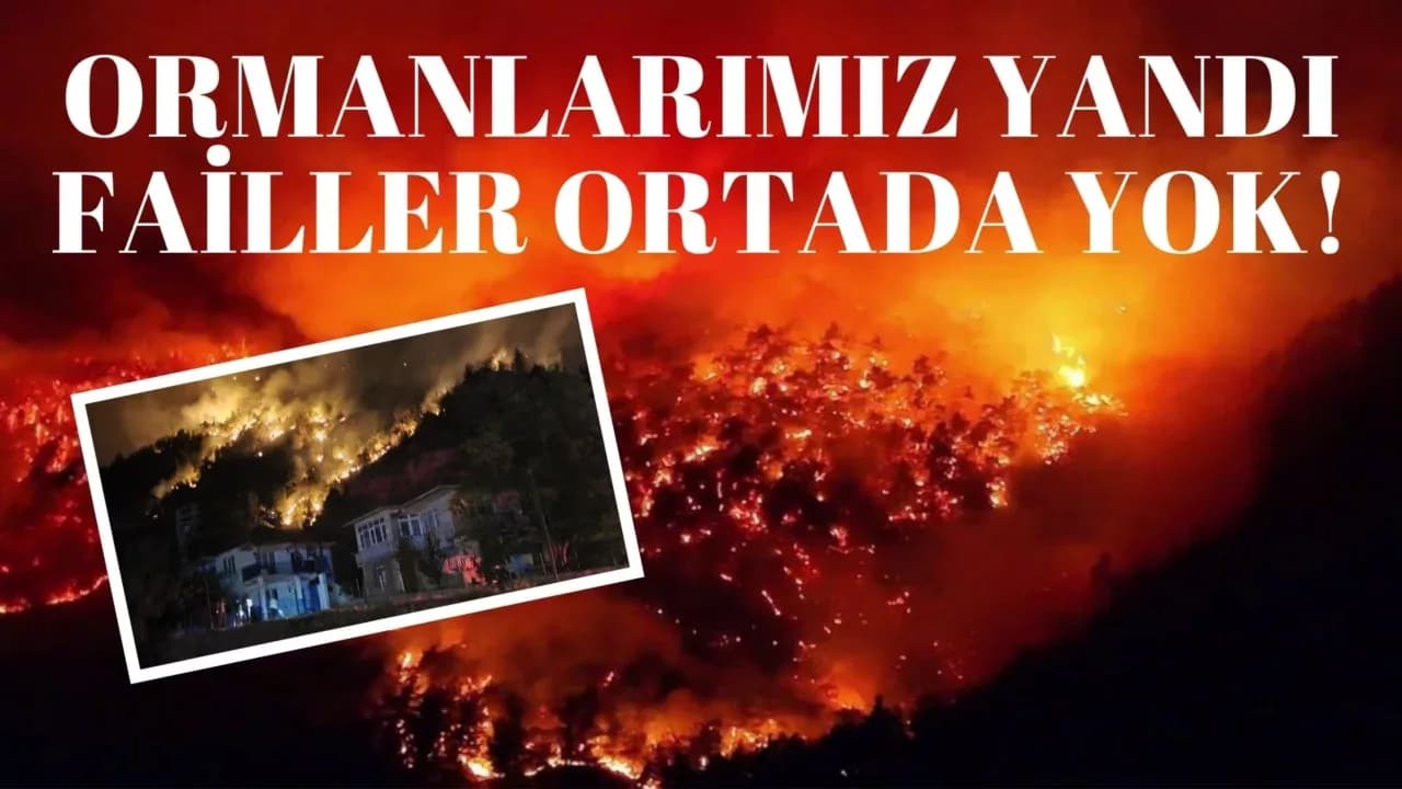 Ormanlarımız Yandı Failler Ortada Yok!..
