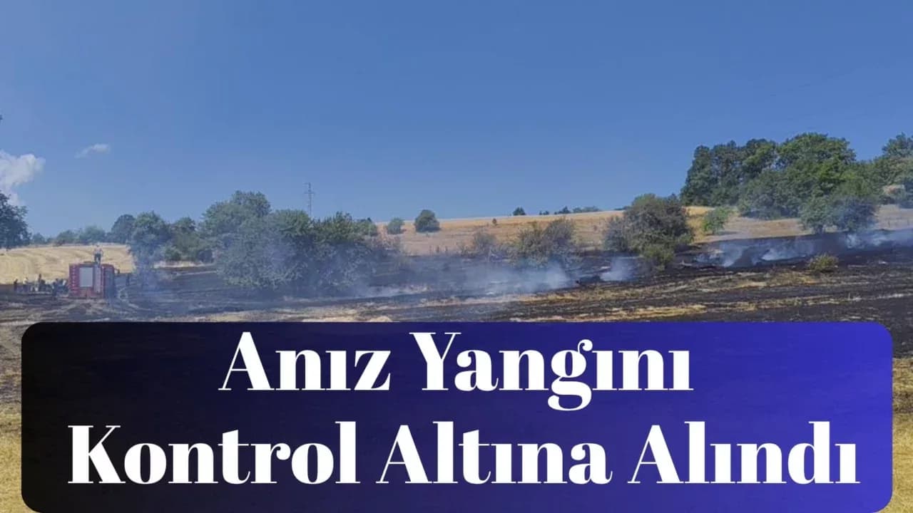 Karabük'te Anız Yangını Kontrol Altına Alındı