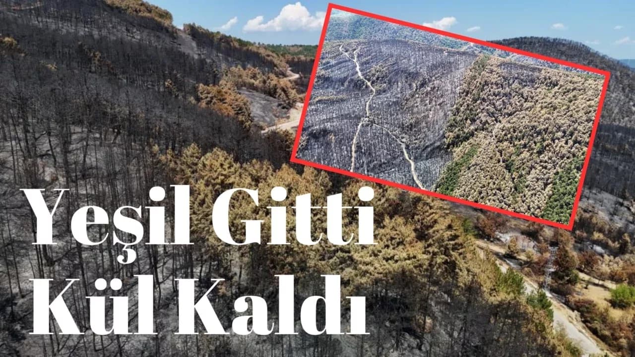 Karabük'te yangın sonrası ormanlar hazan rengine büründü