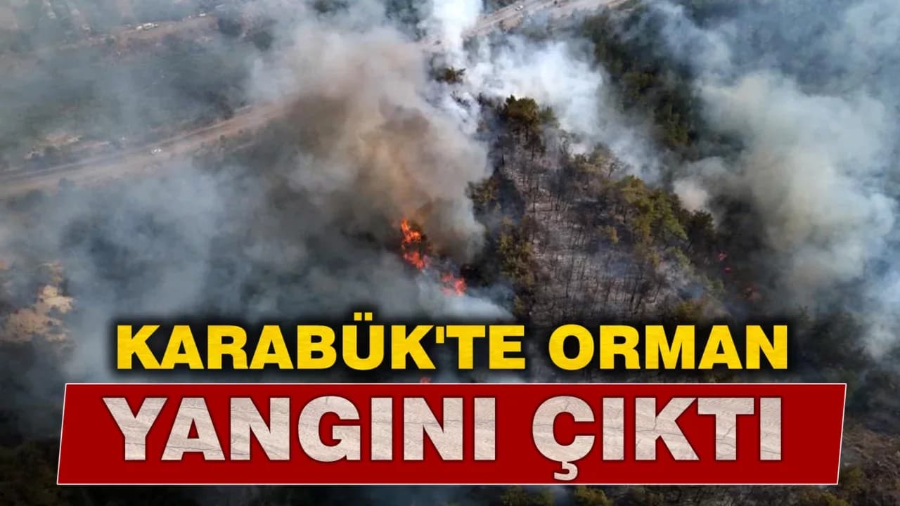 Karabük'te orman yangını çıktı