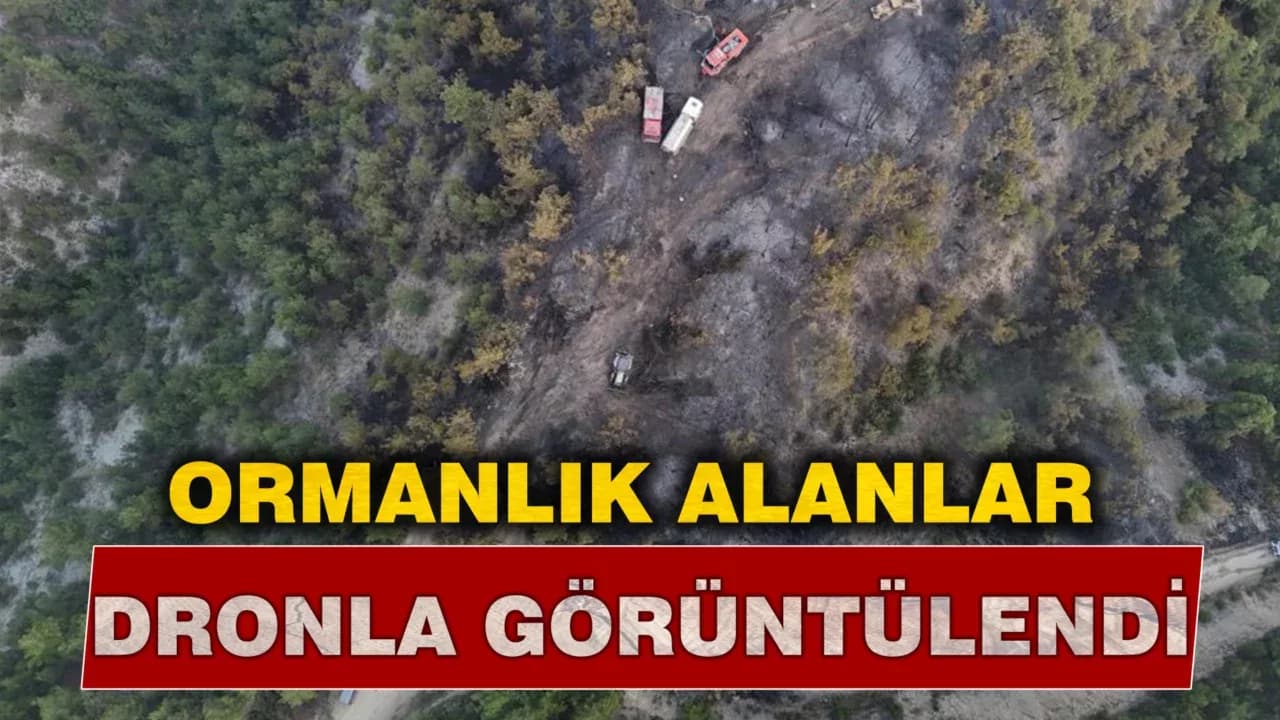 Orman yangınında zarar gören alanlar dronla görüntülendi