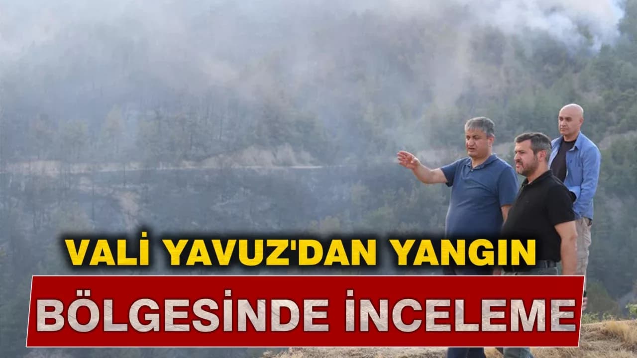 Vali Yavuz Yangın Bölgesinde İncelemelerde Bulundu