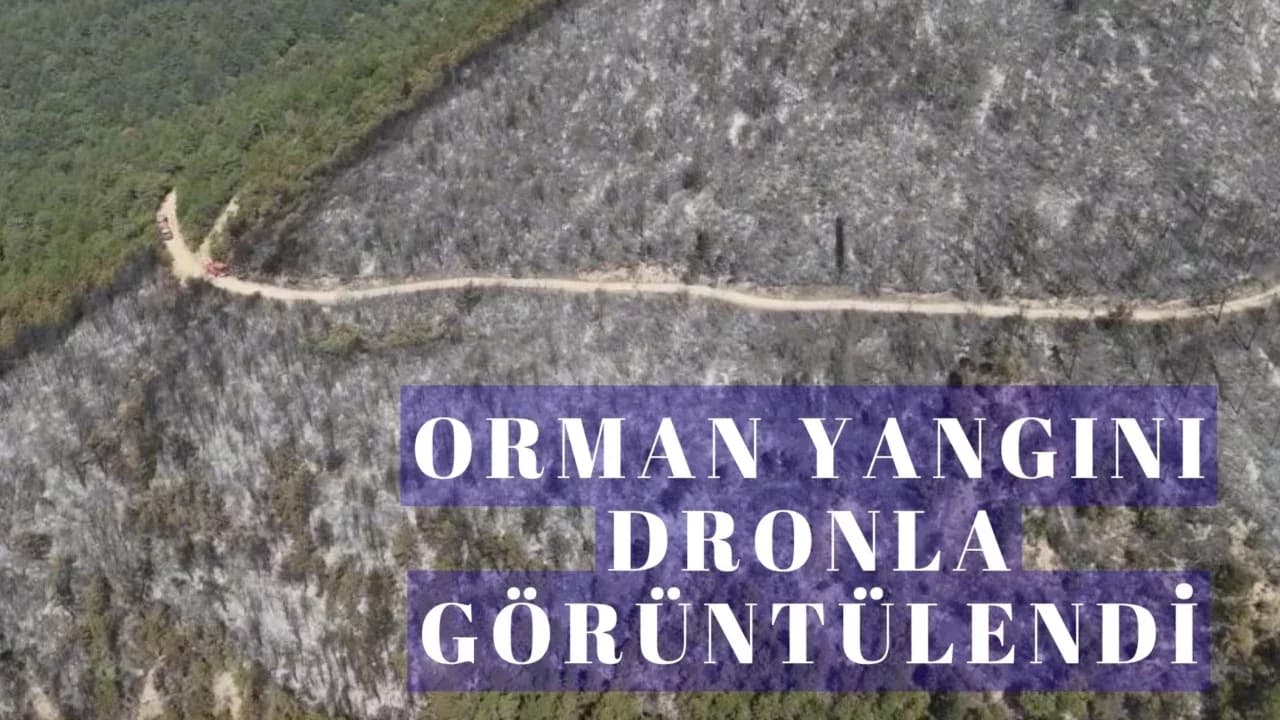 Orman yangınında zarar gören alanlar dronla görüntülendi