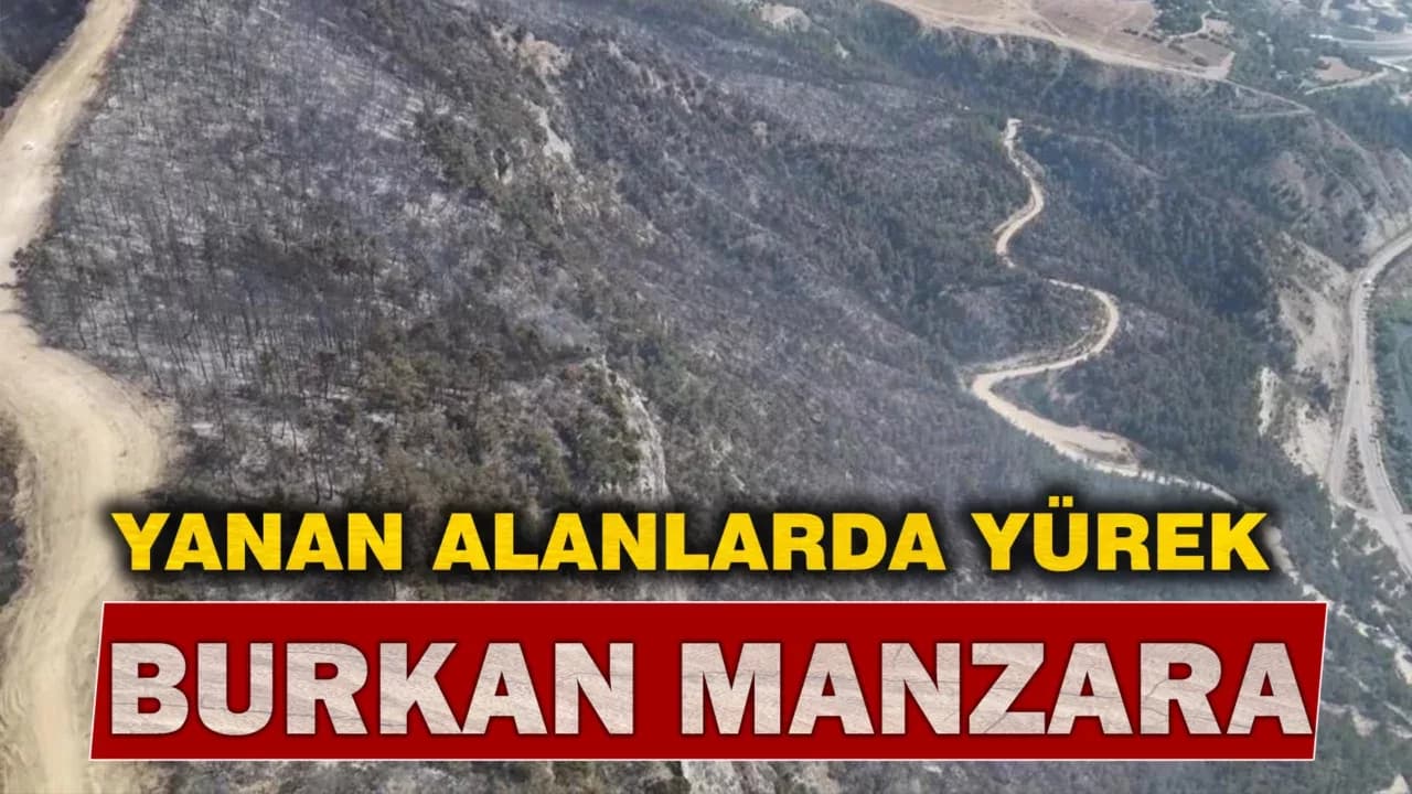 Karabük'te Yanan Alanlarda Yürek Burkan Manzara