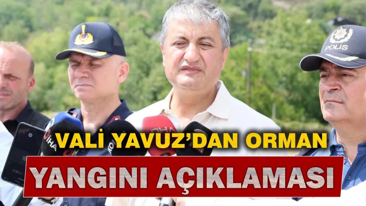 Vali Yavuz, "Orman yangını tek bir noktada devam ediyor'