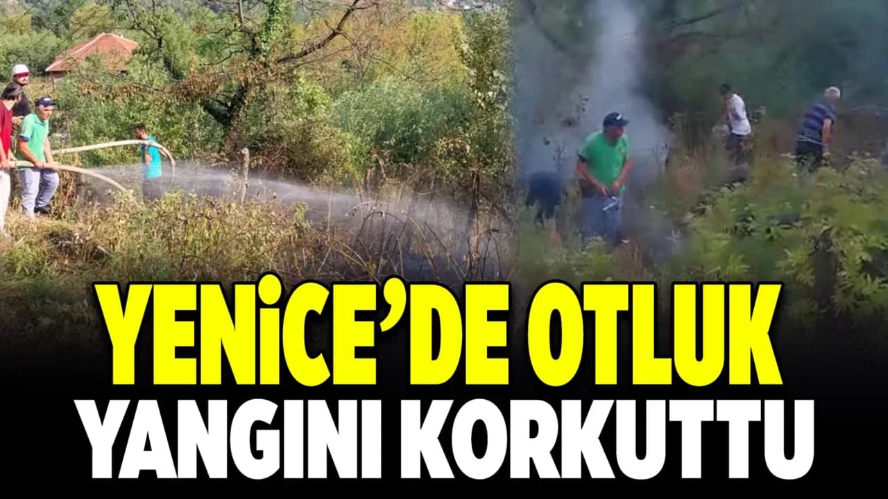 Yenice'de otluk alanda çıkan yangın evlere ve ormanlık alana sıçramadan söndürüldü