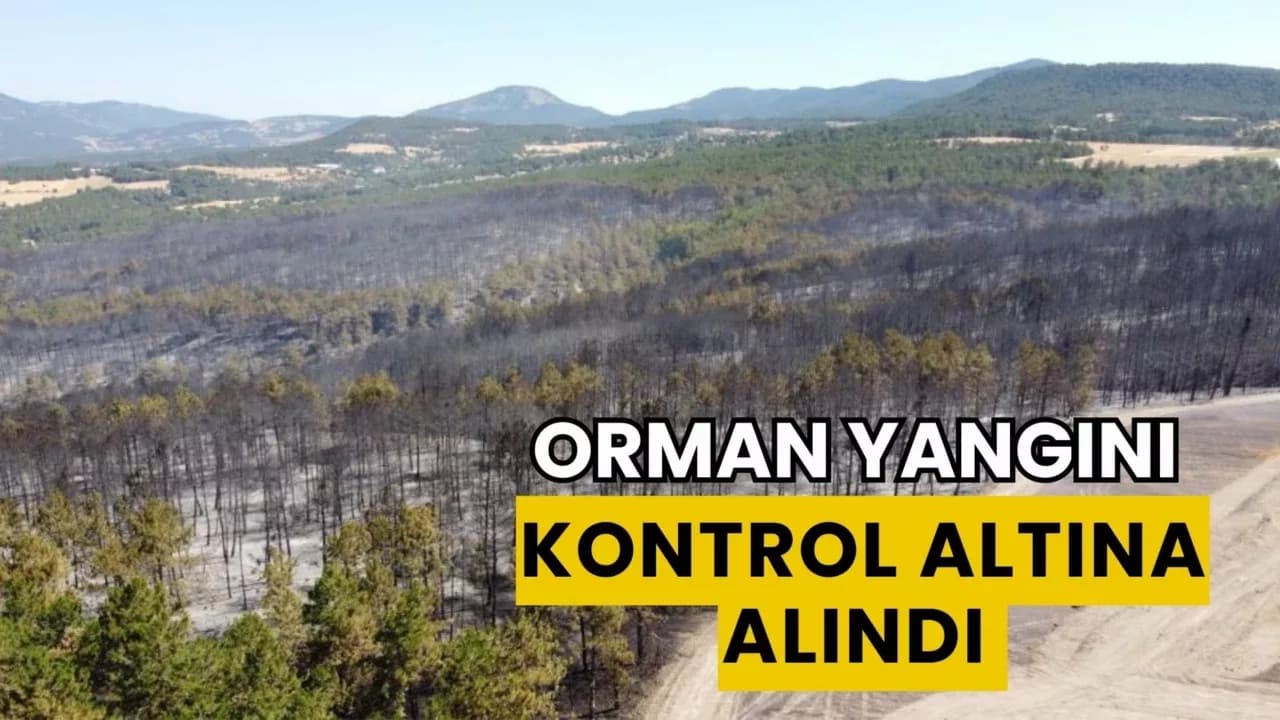 Bolu’daki orman yangını tamamen kontrol altına alındı