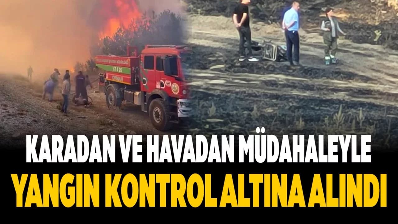 Karabük'te Orman Yangını