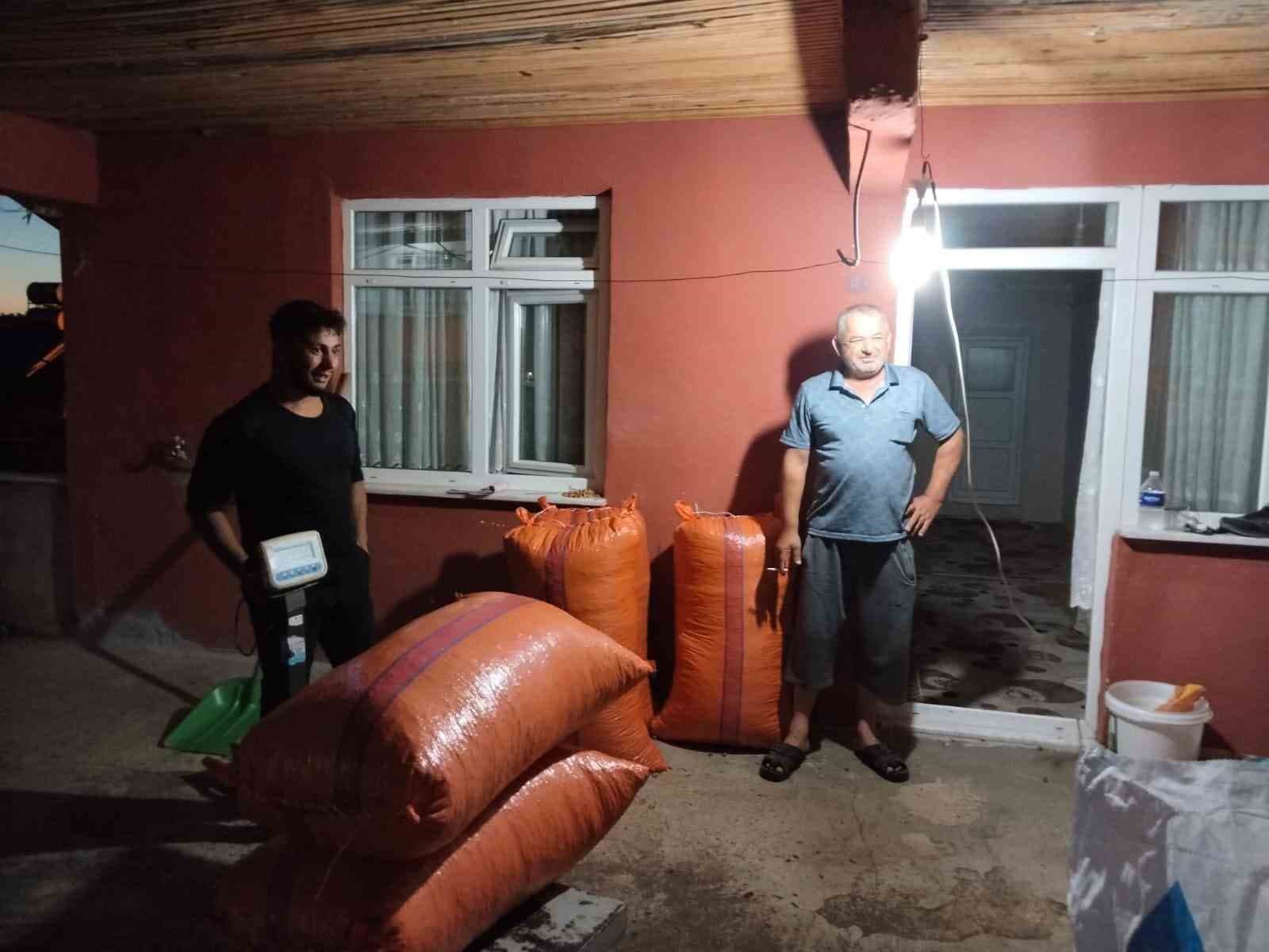 Alaplı’da hasat edilen fındıklar satışa çıktı