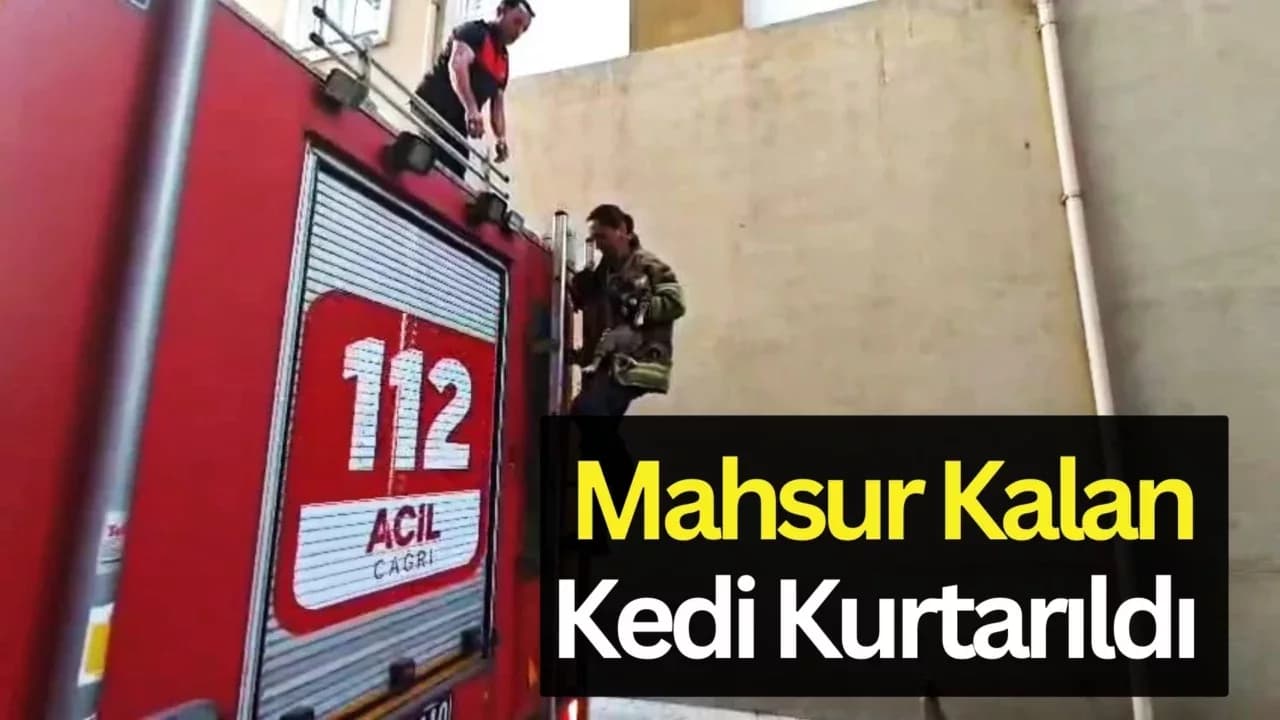 Boş Daire Balkonunda Mahsur Kalan Kedi Kurtarıldı