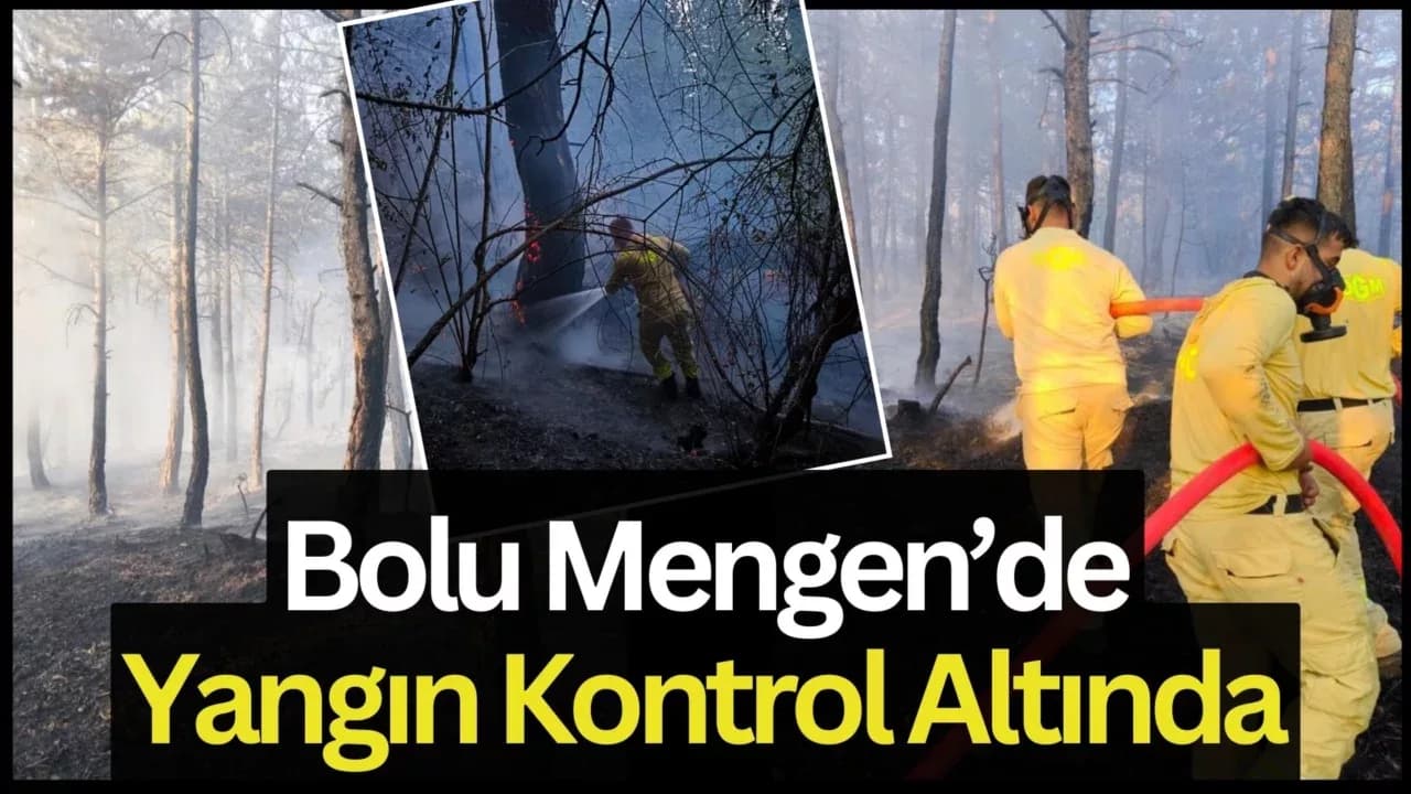 Bolu'da küle dönen 20 hektar ormanda, soğutma çalışması sürüyor