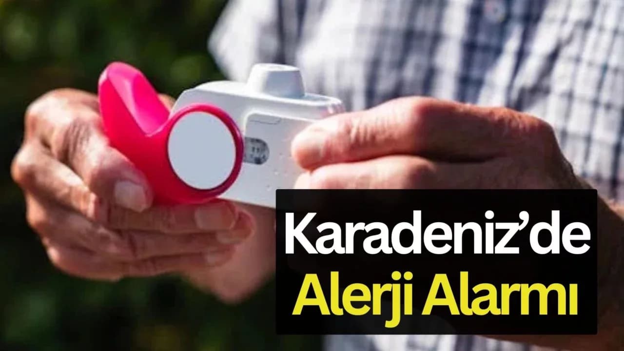 Karadeniz'de Alerjik Hava Yolu Hastalıklarına Dikkat