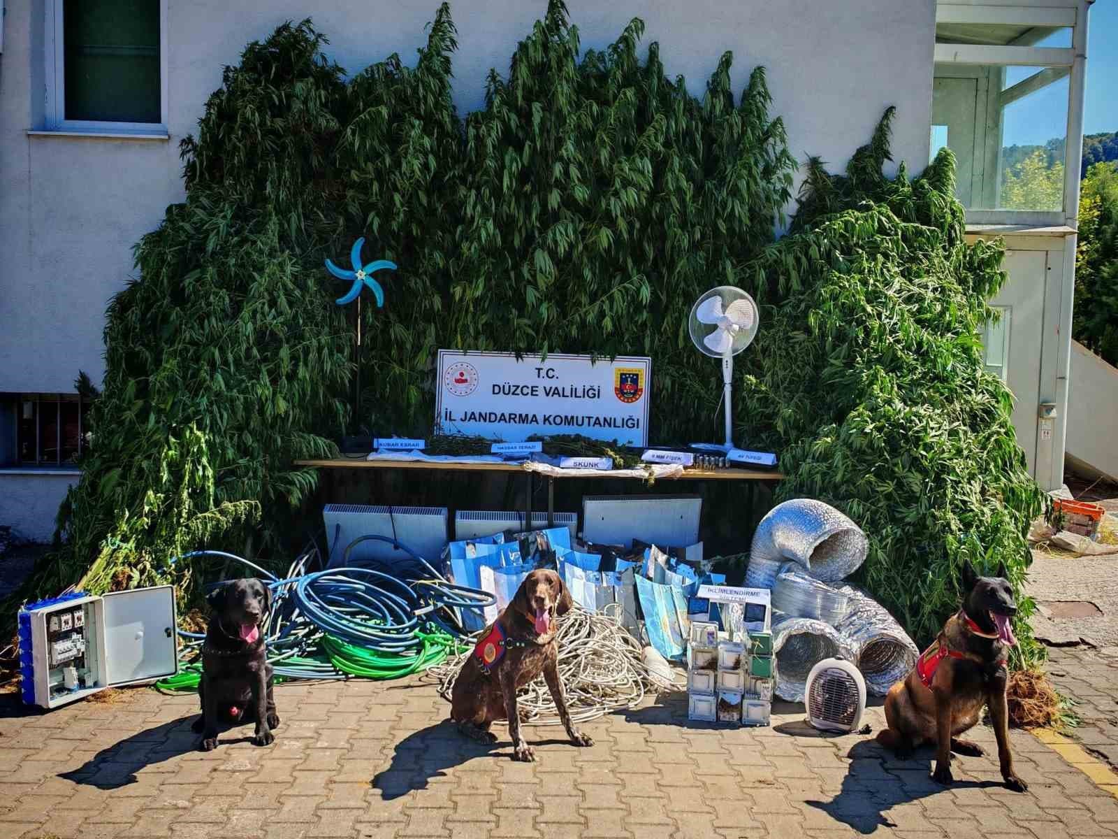 Uyuşturucu yetiştirene büyük darbe