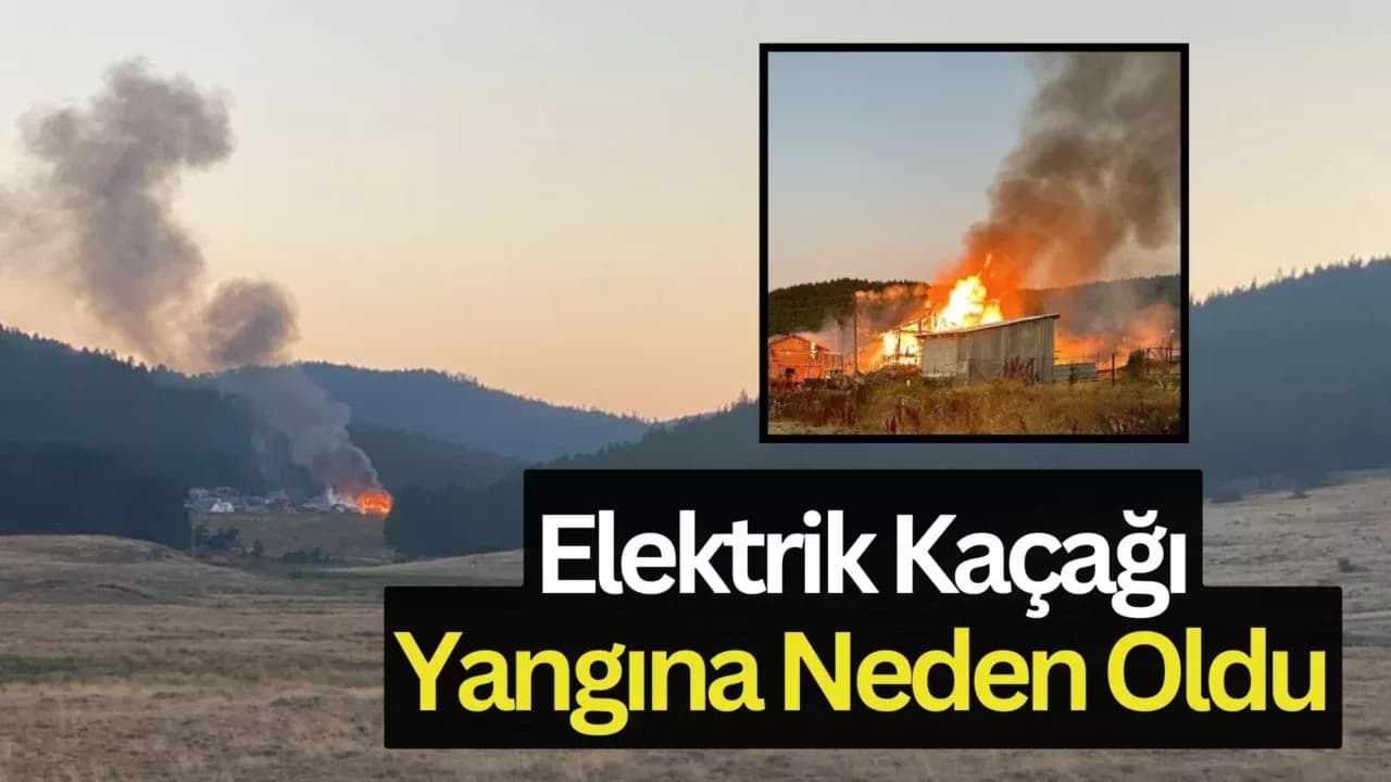 Bolu Valiliği açıkladı, yayla evleri elektrik kaçağından yanmış