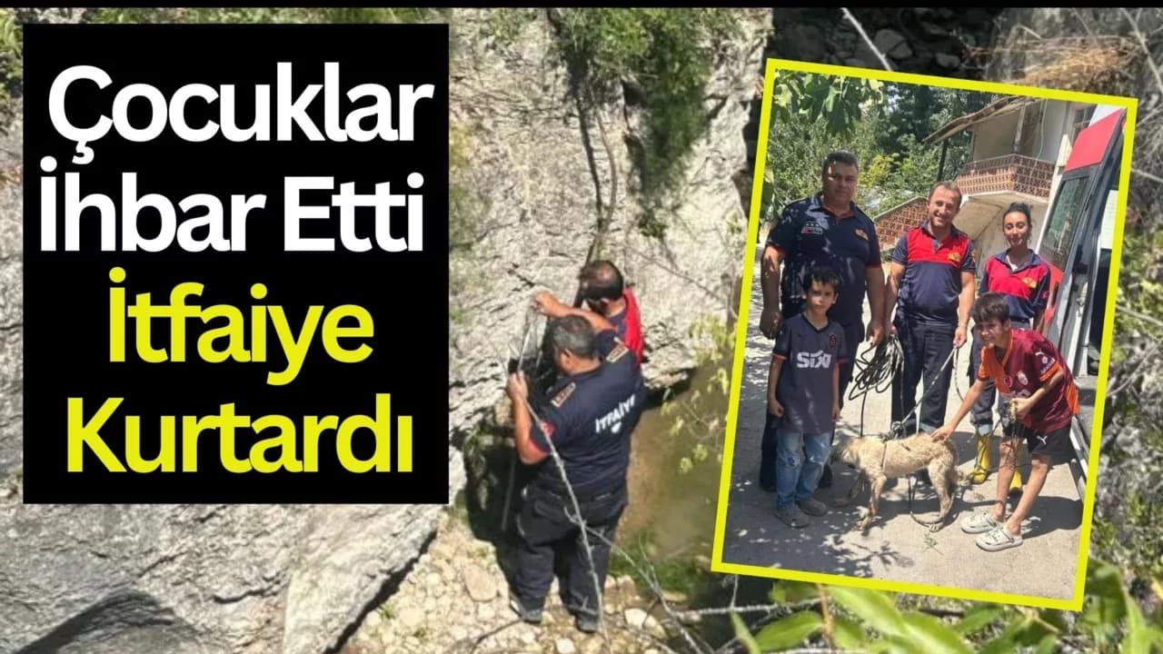 Safranbolu'da Kayalıkta Mahsur Kalan Köpek Kurtarıldı