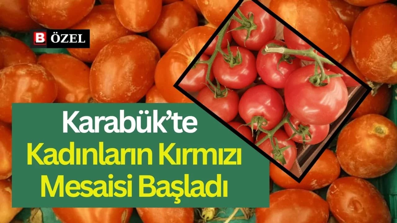 Karabük’te Salça Zamanı Başladı