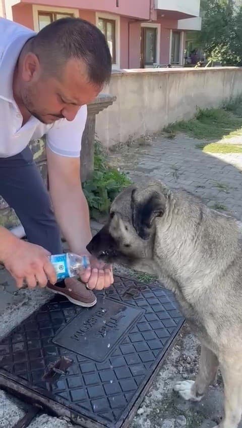 Muhtardan insanlık dersi