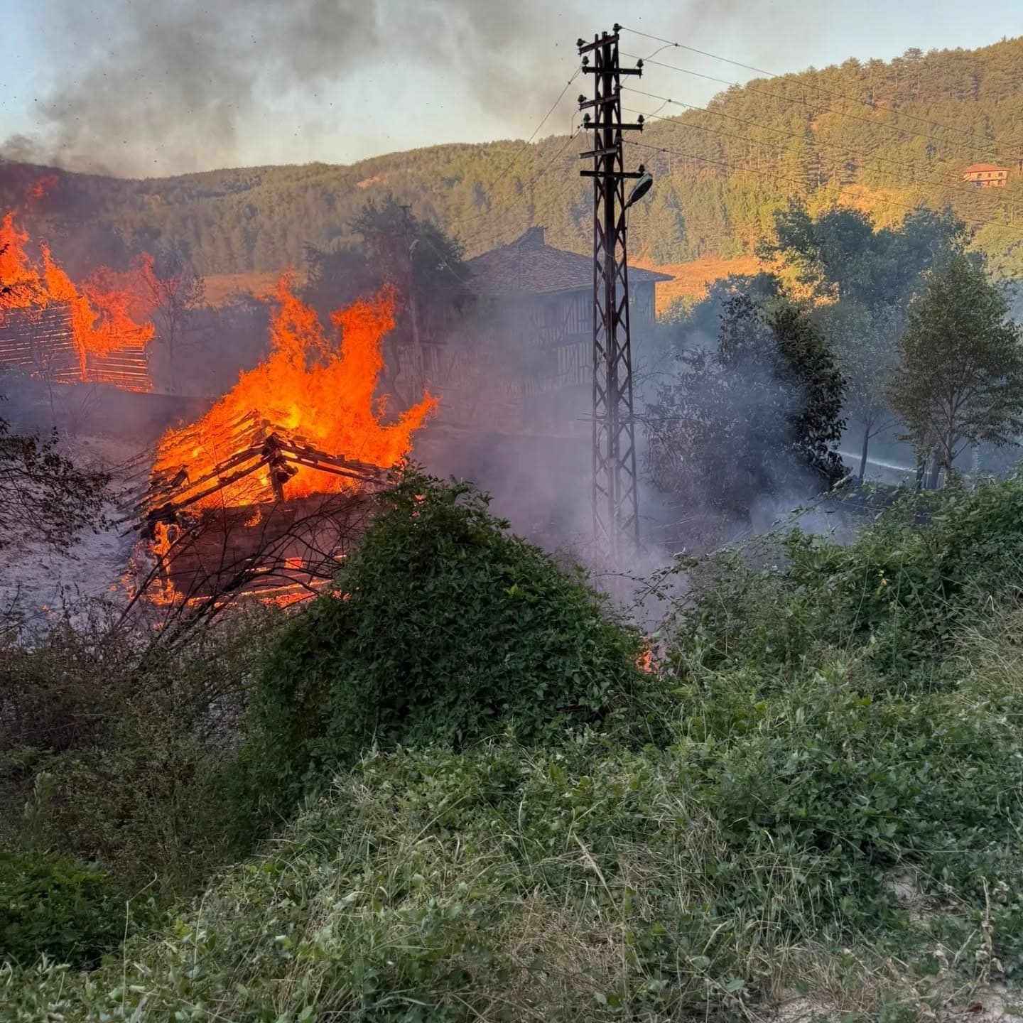 Kastamonu’da alevlere telim olan iki samanlık yandı