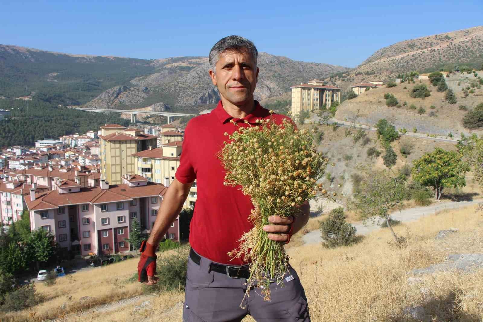 Dağ yamaçlarından topluyor, buketini 100 TL’den satıyor