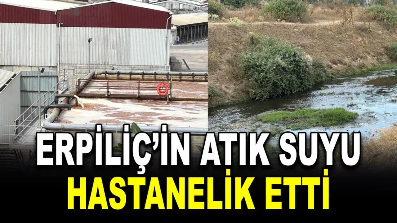 Erpiliç'in pisliği, hamile kadını hastanelik etti