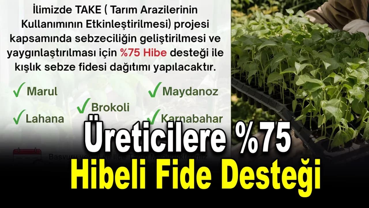 Karabük’te Üreticilere %75 Hibeli Fide Desteği