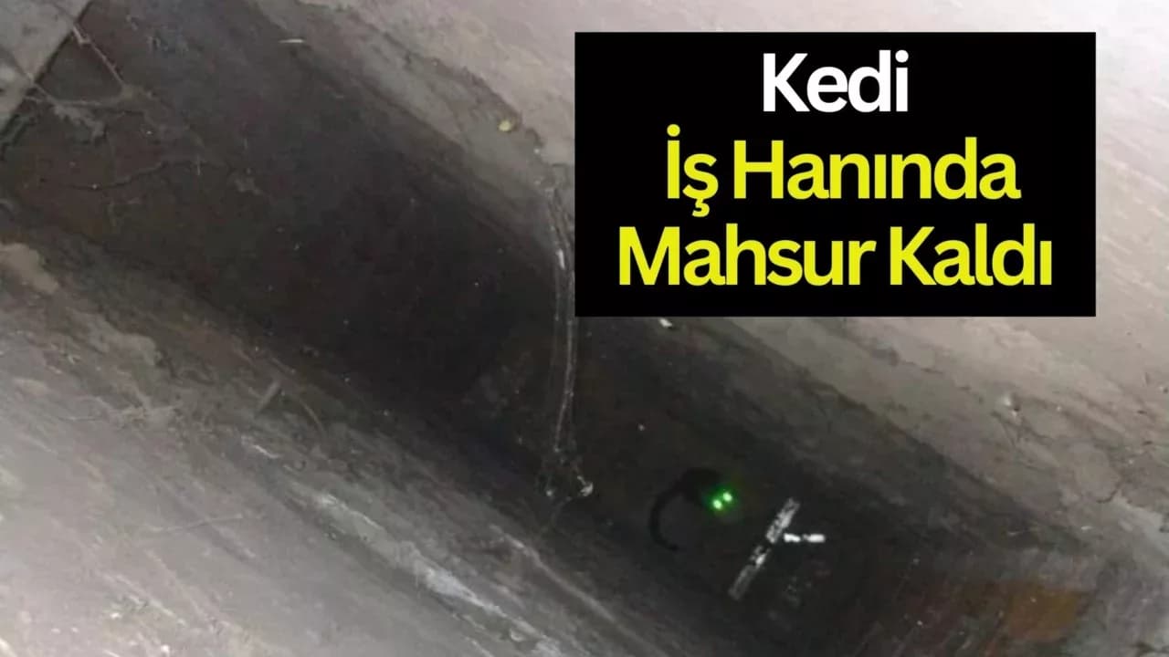 Karabük'te İş hanının havalandırma boşluğuna düşen kediyi kurtarmak için seferber oldular