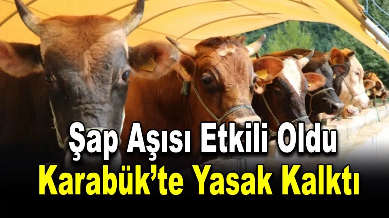 Tarım ve Orman Bakanlığı: "Şap Enstitüsü, 12 milyon 450 bin doz aşıyı sahaya sevk etti"