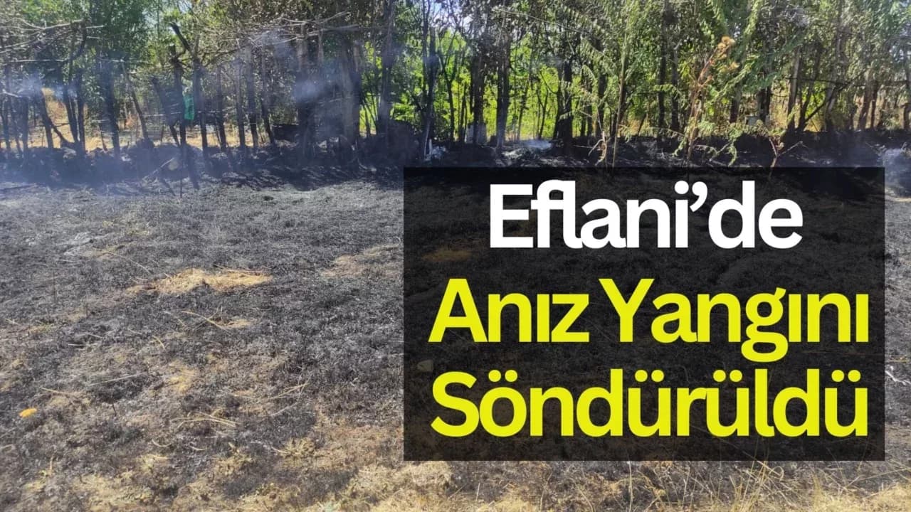 Eflani Yalacık Mahallesi'nde Anız Yangını Büyümeden Söndürüldü