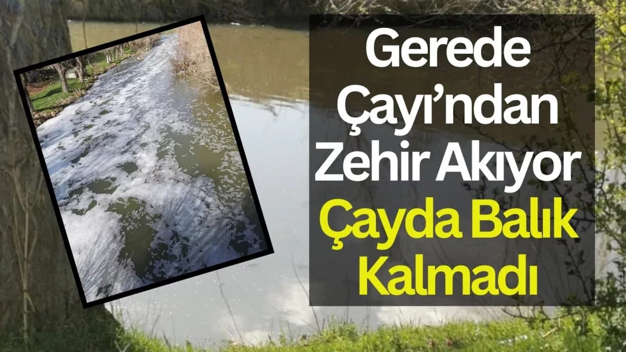 Gerede Çayı’ndaki Kirlilik Raporlarla Kanıtlandı: GEÇTAP Yetkilileri Göreve Çağırdı