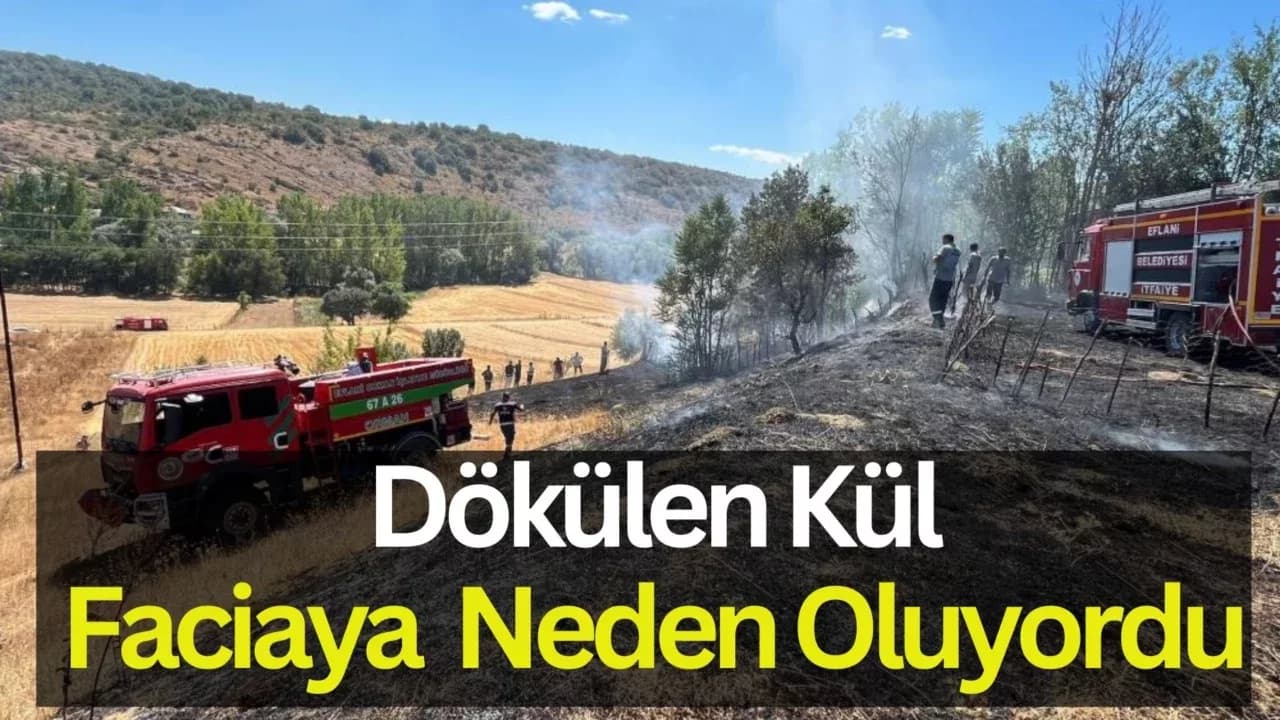 Dökülen Kül Faciaya Neden Oluyordu