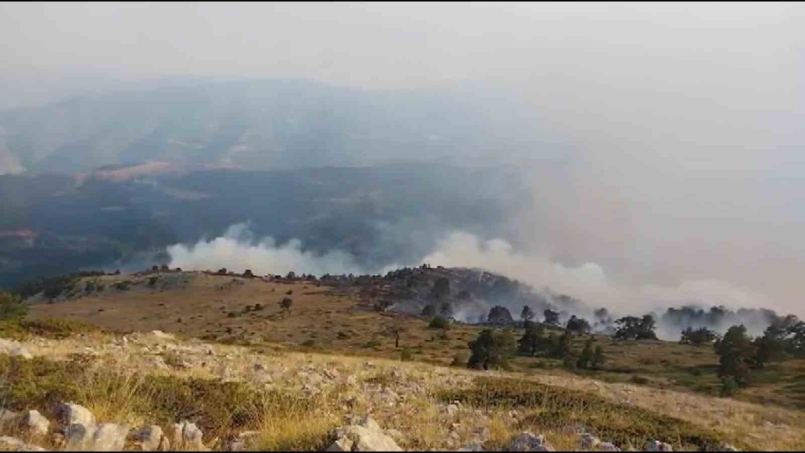 Amasya’da orman yangını: 35 hektar alan zarar gördü
