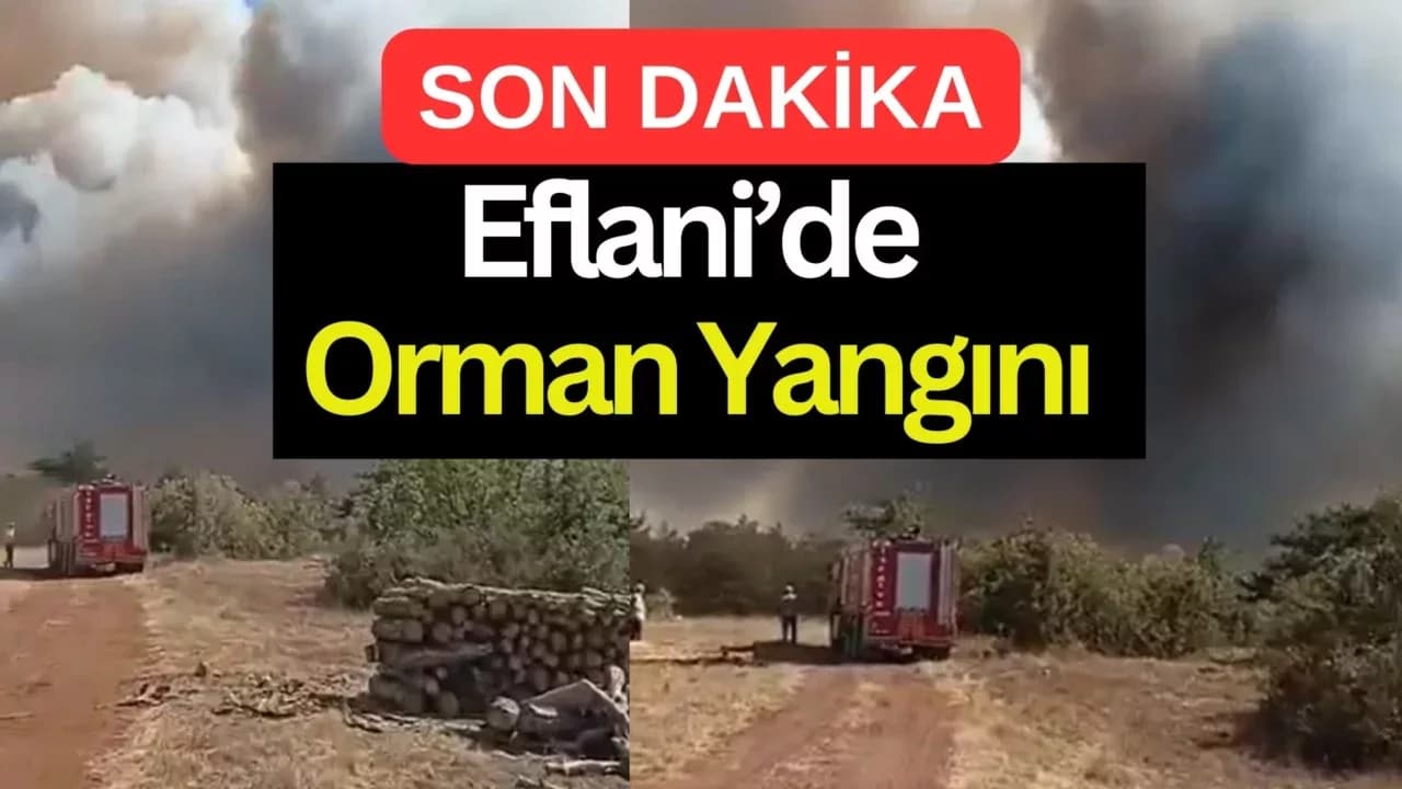 Eflani'de Orman Yangını Başladı