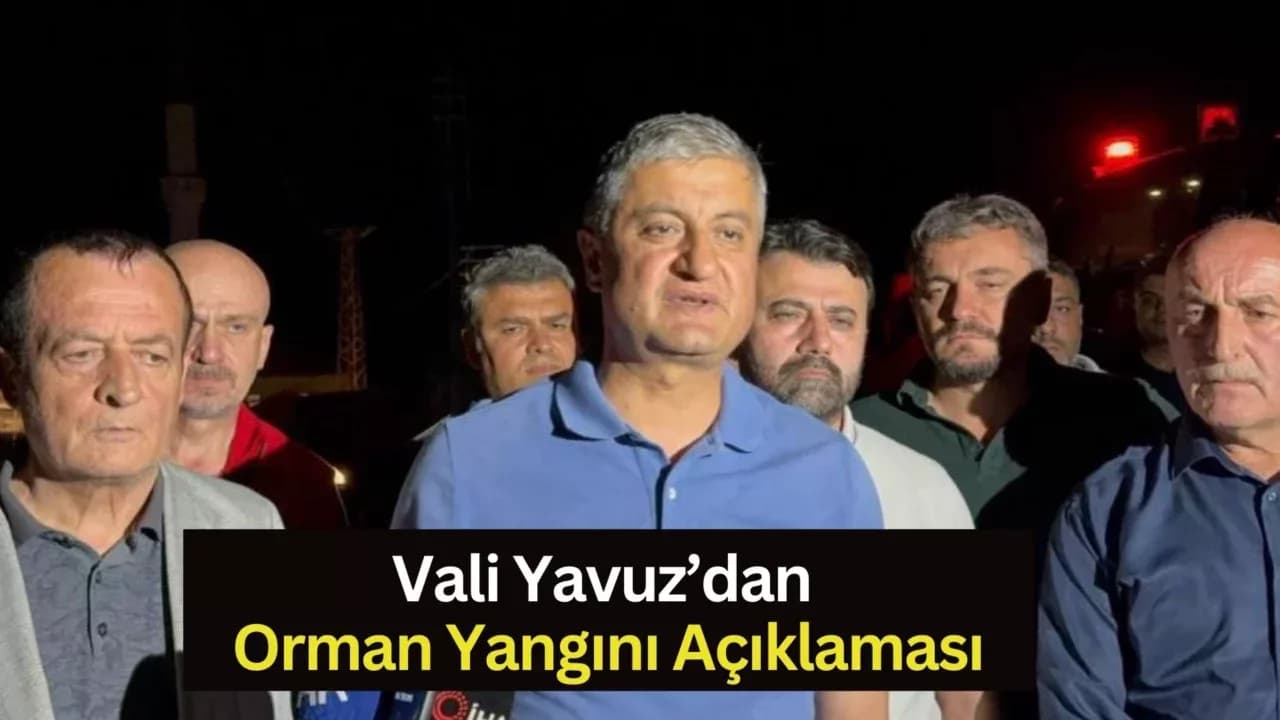 Vali Yavuz: "Karabük’teki orman yangını çevrelendi, 300 personel ile çalışmalar sürüyor"
