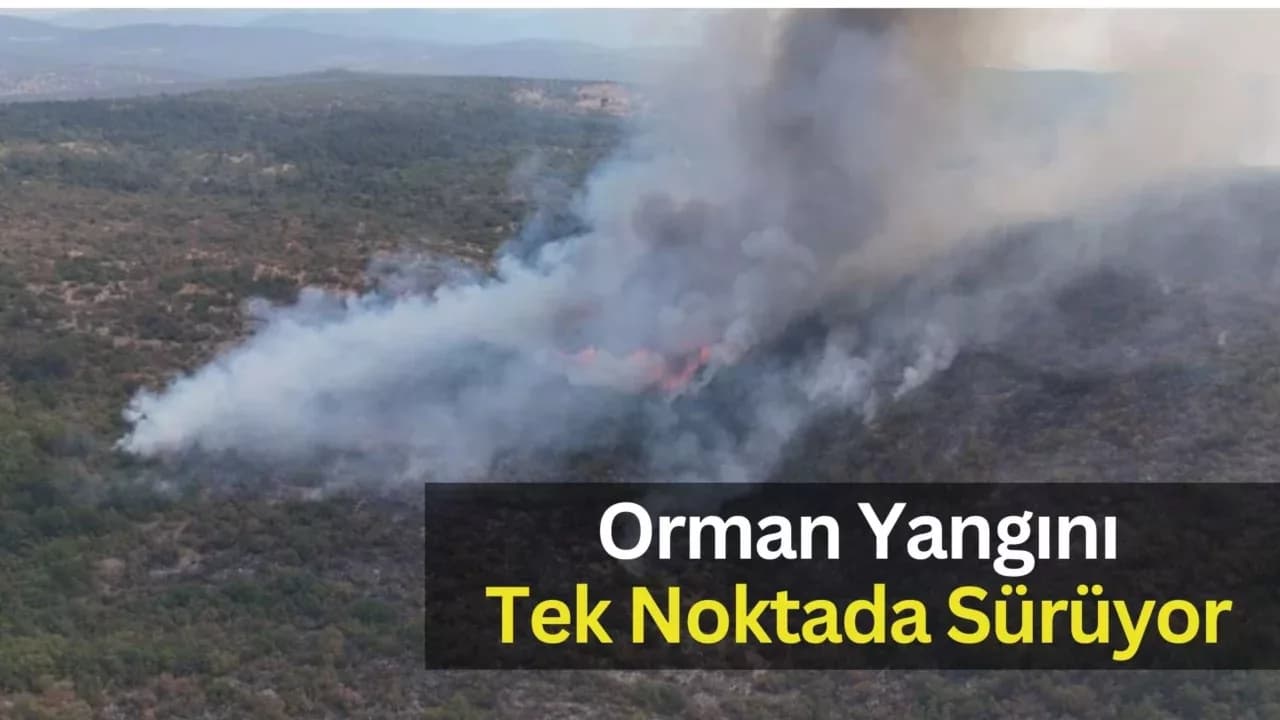 Karabük’teki orman yangını tek noktada etkisini sürdürüyor