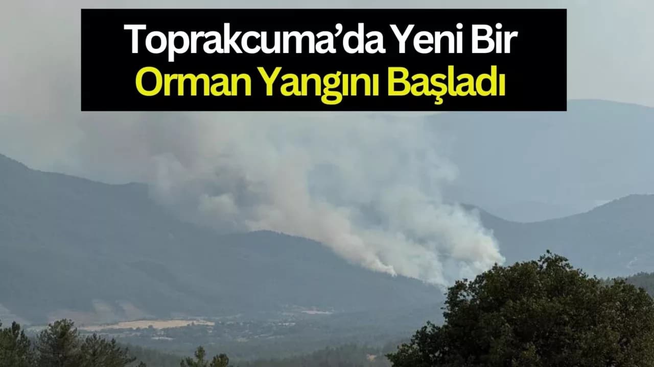 Karabük'te Yeni Orman Yangını Çıktı