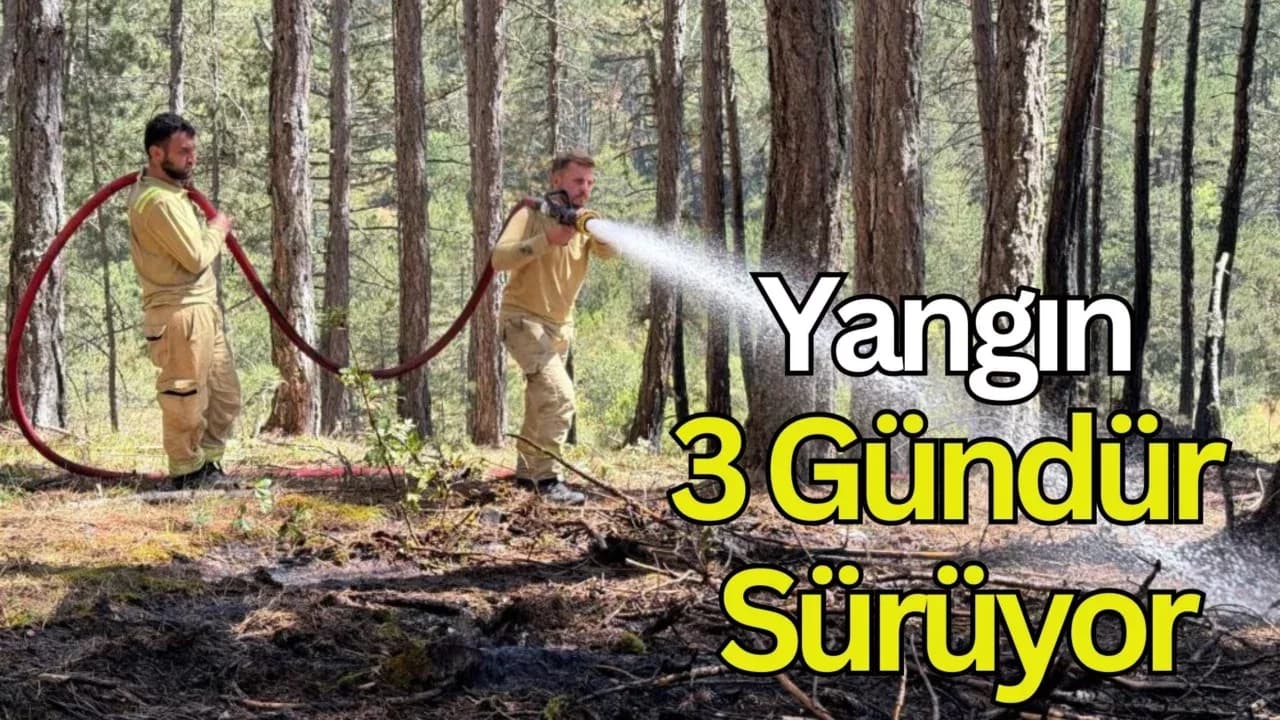 Orman yangınına müdahale 3 gündür sürüyor