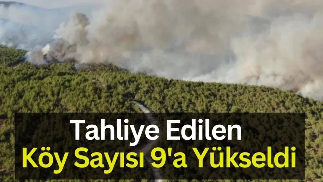 Kastamonu'da orman yangınıyla mücadele sürüyor