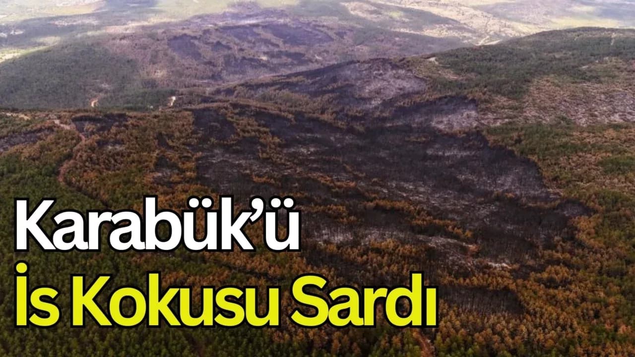 Karabük’te büyük oranda kontrol altına alınan orman yangınından geriye bu manzara kaldı
