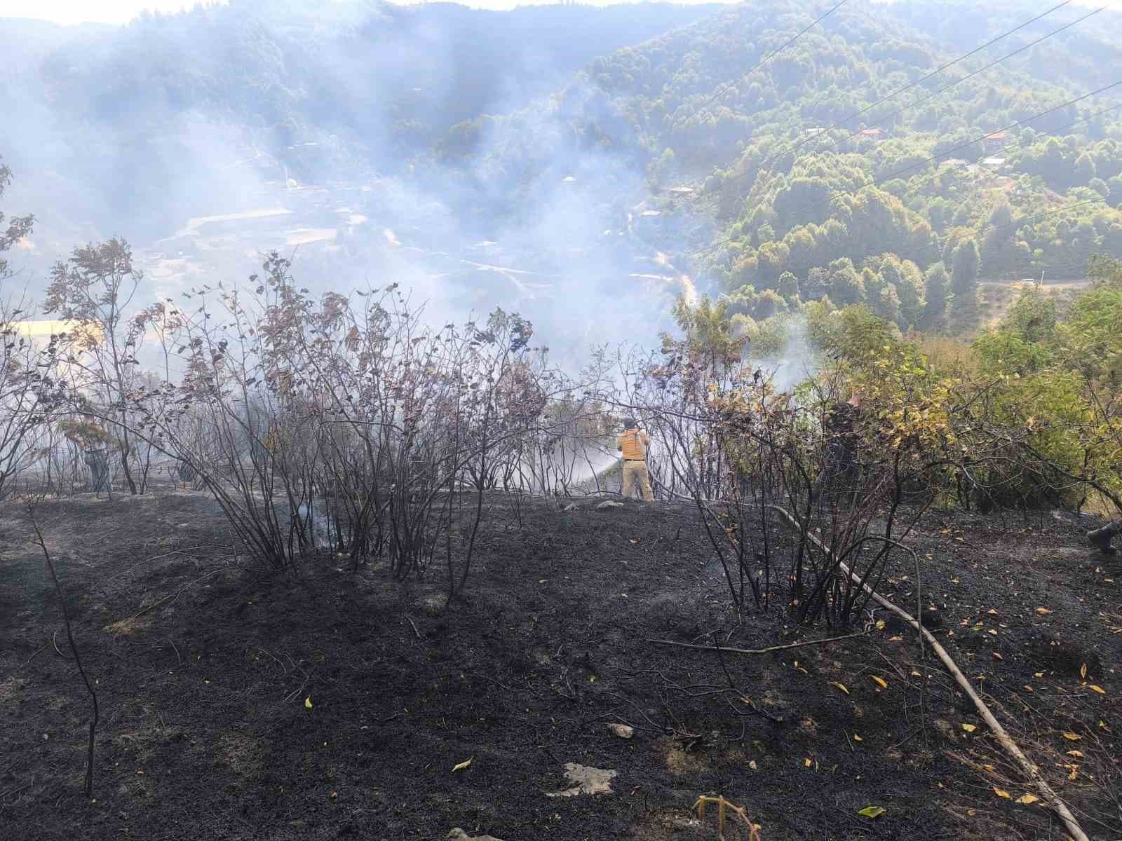Zonguldak’ta 2 dekarlık alanda örtü yangını
