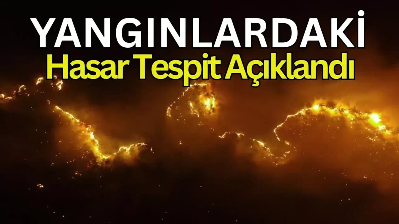 Orman Yangınlarında 2 bin 736 Hektar Alan Zarar Gördü