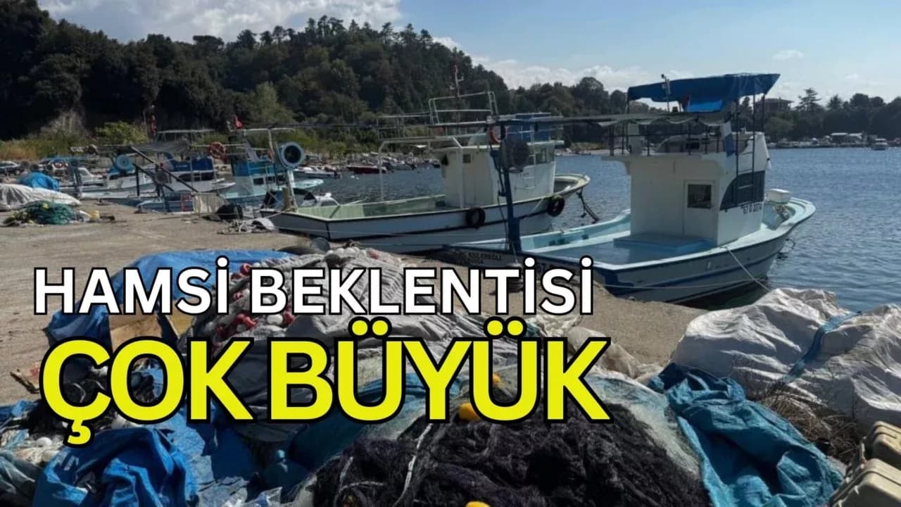 Karadeniz'de Bu Yıl Hamsi Beklentisi Büyük