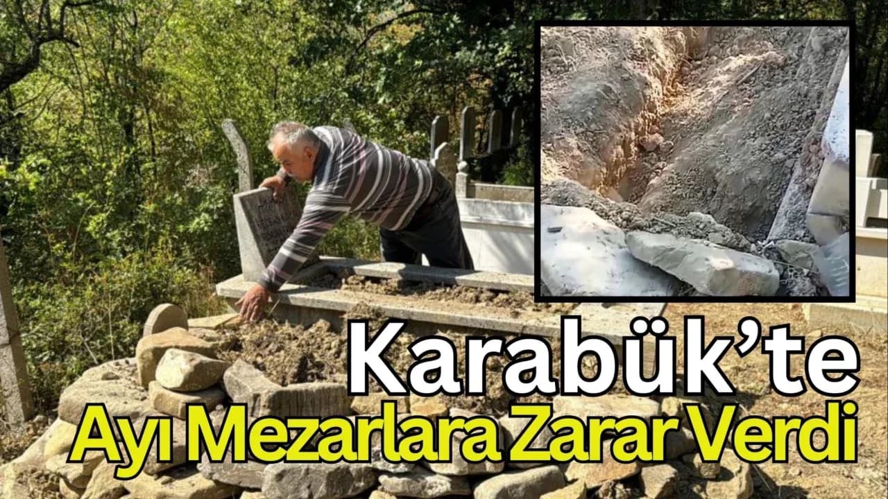 Karabük'te mezarlığa giren ayı mezarlara zarar verdi