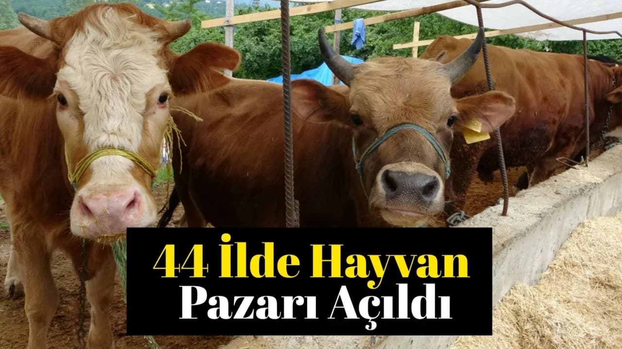 Bakan Yumaklı: "Kısa zamanda 81 ilimizdeki hayvan pazarlarını açmış olacağız"