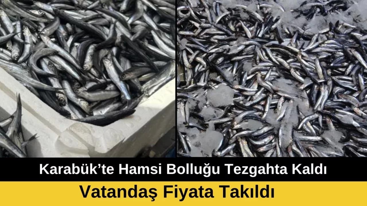 KARADENİZ'DE HAMSİ BEREKETİ YAŞANIYOR