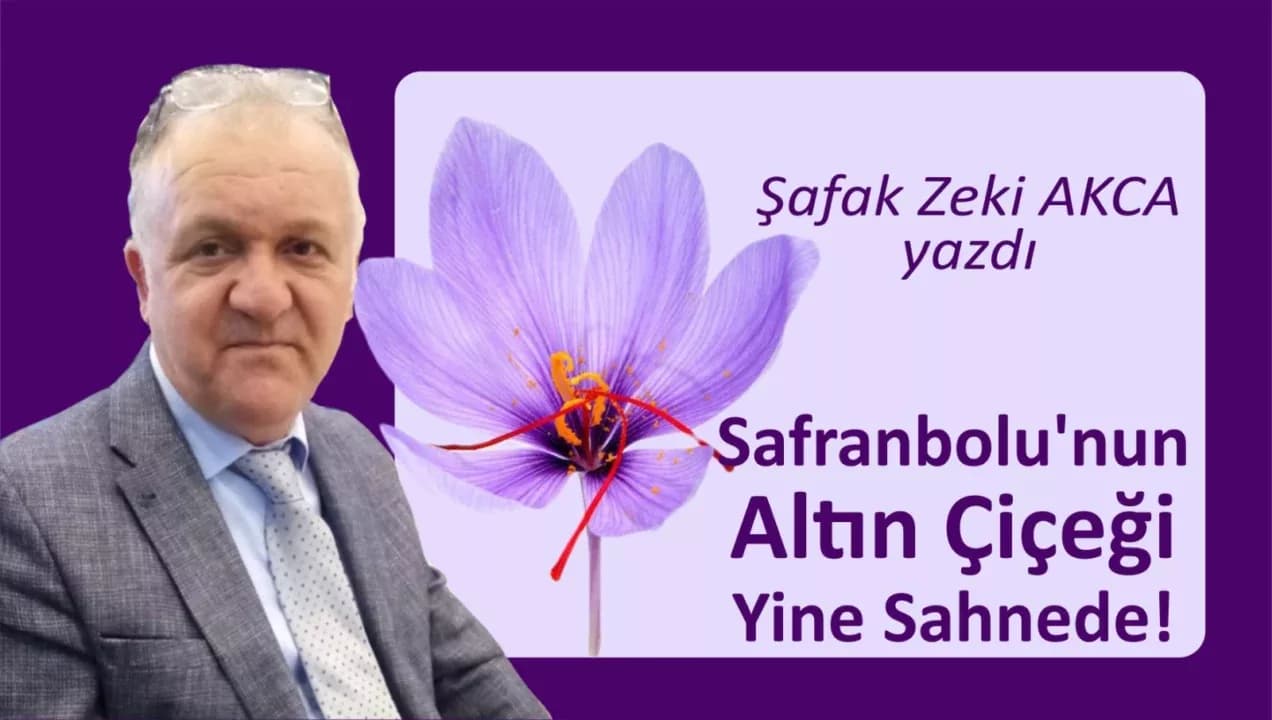 Altın Safran’ın Hikâyesi