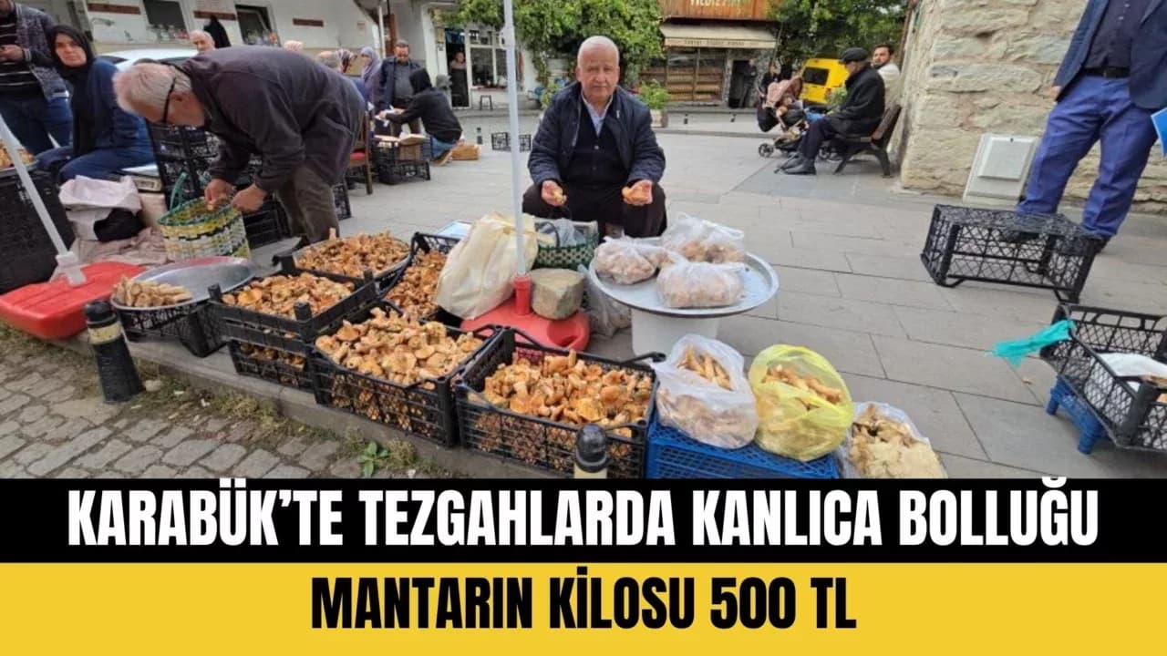 Tezgahlarda kanlıca bolluğu yaşanıyor: Kilosu 500 TL