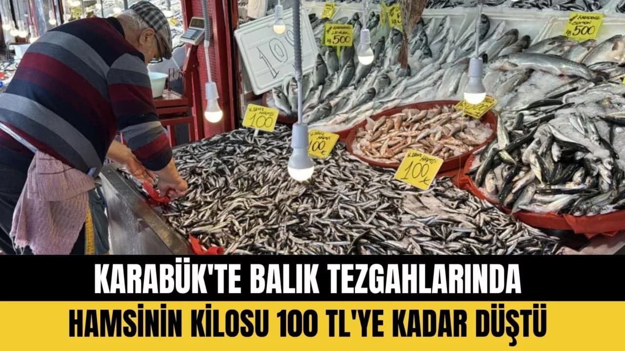 Karabük'te balık tezgahlarında hamsi bolluğu: Kilosu 100 TL'ye kadar düştü