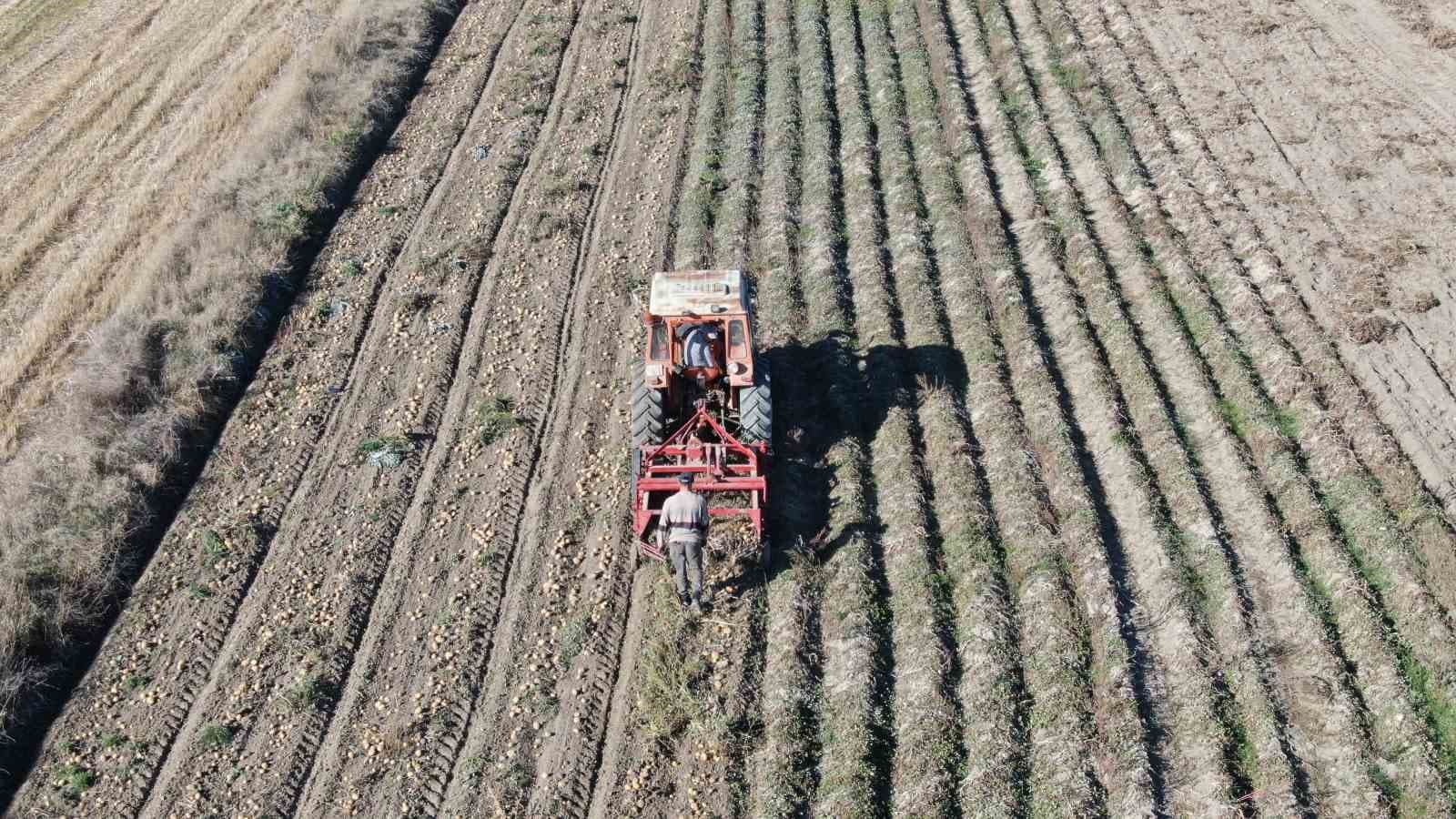 Kastamonu’da patates hasadı sürüyor